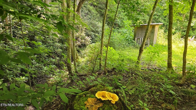 4010 Forest Trail Dr, Sevierville, TN 37876 - photo 46