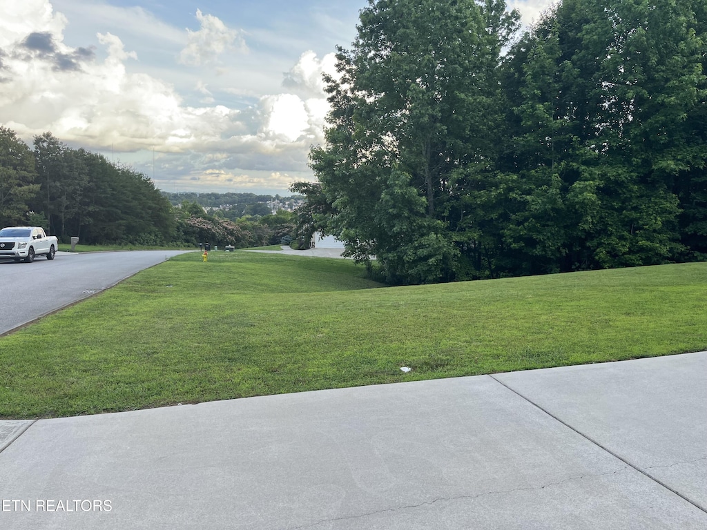 6933 Harvest Grove Ln, Knoxville, TN 37918 - view of grassy yard