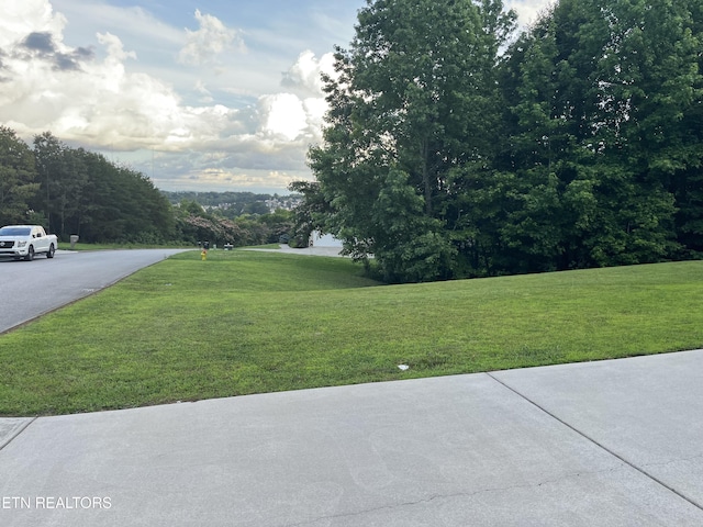 6933 Harvest Grove Ln, Knoxville, TN 37918 - view of grassy yard