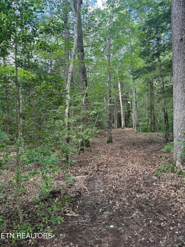 0 Acorn Ln, Jamestown, TN 38556