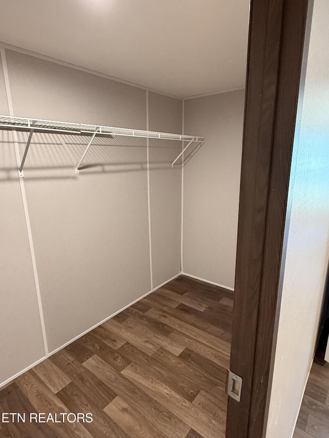 1684 Shields Dr, Morristown, TN 37814 - walk in closet with wood finished floors