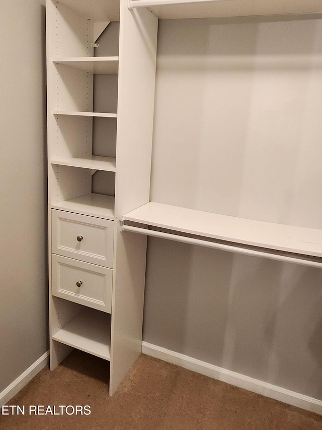 715 Cedar Ln Unit 135, Knoxville, TN 37912 - walk in closet featuring carpet floors