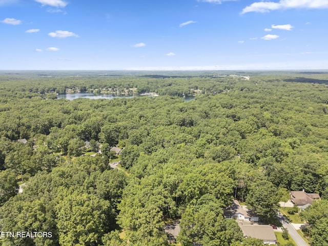 122 Glenwood Dr, Crossville, TN 38555 - aerial view of a forest and a nearby body of water