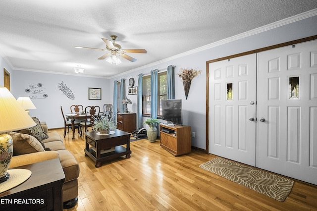 122 Glenwood Dr, Crossville, TN 38555 - living room featuring a ceiling fan, light wood finished floors, ornamental molding, and a textured ceiling