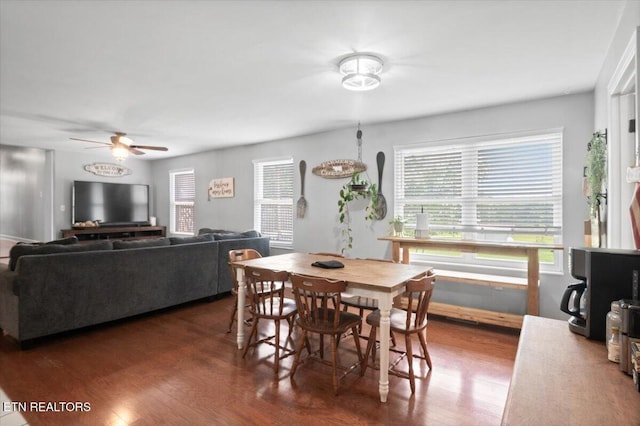 288 Forks Grove Rd, Lafollette, TN 37766 - dining area featuring healthy amount of natural light, wood finished floors, and ceiling fan