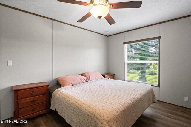 288 Forks Grove Rd, Lafollette, TN 37766 - bedroom featuring ornamental molding, dark wood-style floors, and a ceiling fan