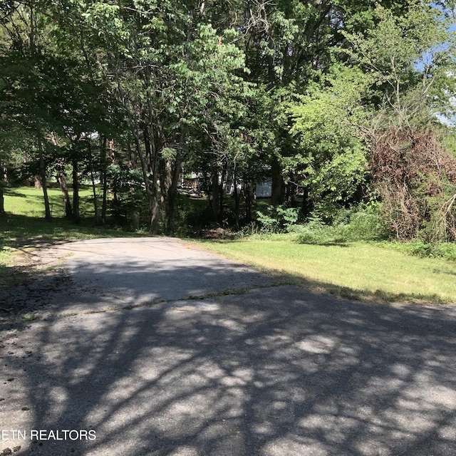 195 Hamblin St, New Tazewell, TN 37825 - view of street
