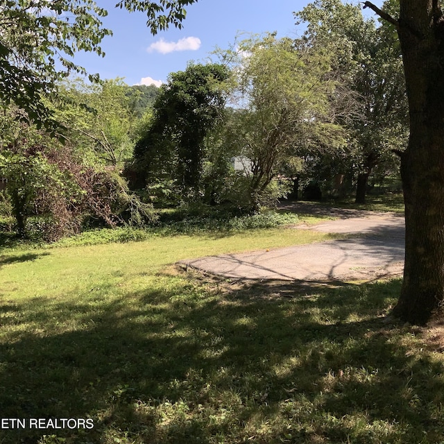 195 Hamblin St, New Tazewell, TN 37825 - view of green lawn with a view of trees
