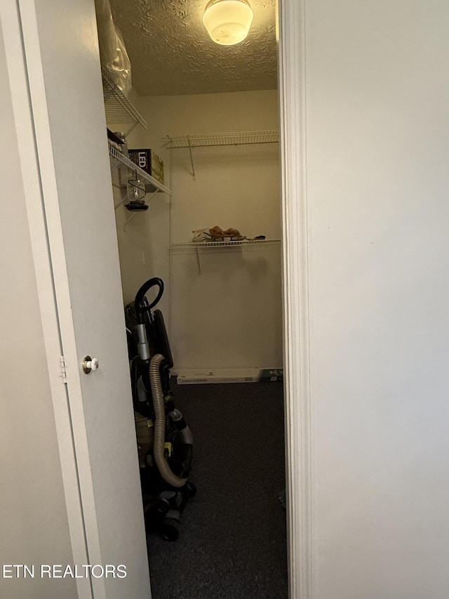 195 Hamblin St, New Tazewell, TN 37825 - view of walk in closet