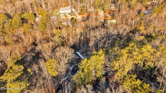 2784 Mountain View Cir, Sevierville, TN 37862 - view from above of property