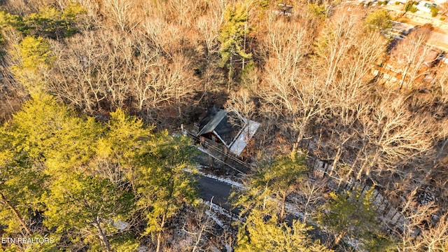 2784 Mountain View Cir, Sevierville, TN 37862 - aerial view