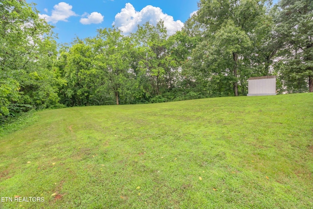 363 Staghorn Ln, Seymour, TN 37865 - view of grassy yard featuring a shed