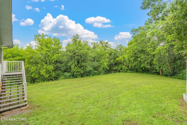 363 Staghorn Ln, Seymour, TN 37865 - view of grassy yard with stairway