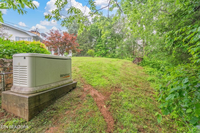 363 Staghorn Ln, Seymour, TN 37865 - view of grassy yard