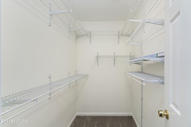 363 Staghorn Ln, Seymour, TN 37865 - view of walk in closet