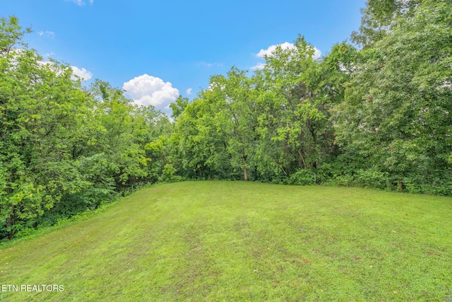 363 Staghorn Ln, Seymour, TN 37865 - view of grassy yard with a view of trees