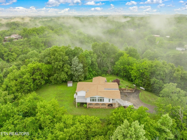 363 Staghorn Ln, Seymour, TN 37865 - view from above of property with a forest
