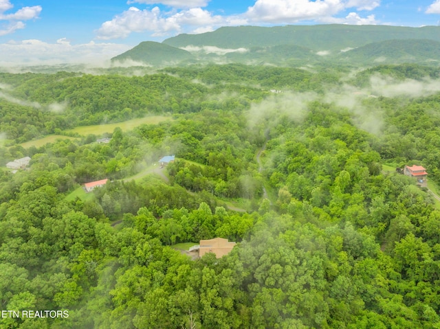 363 Staghorn Ln, Seymour, TN 37865 - view of mountain backdrop with a forest