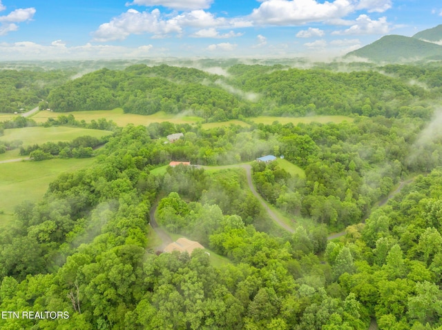 363 Staghorn Ln, Seymour, TN 37865 - drone / aerial view of a forest and mountains