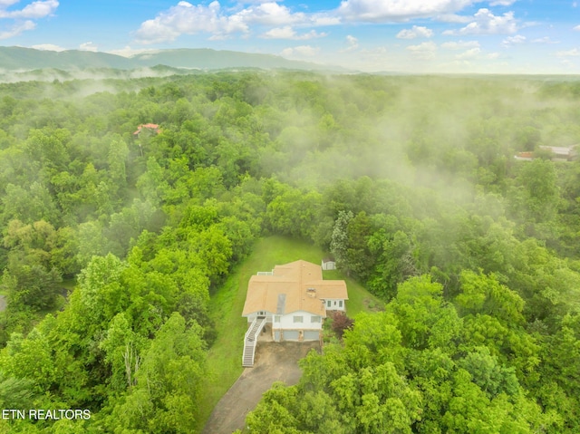 363 Staghorn Ln, Seymour, TN 37865 - view from above of property with a heavily wooded area