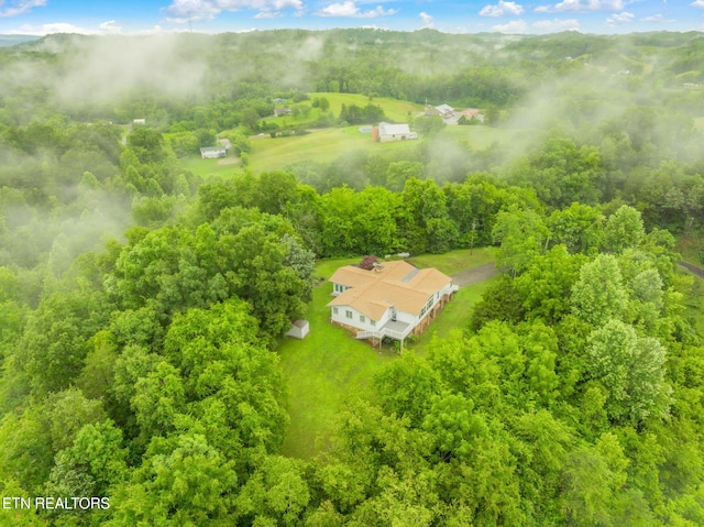 363 Staghorn Ln, Seymour, TN 37865 - view of subject property featuring a heavily wooded area