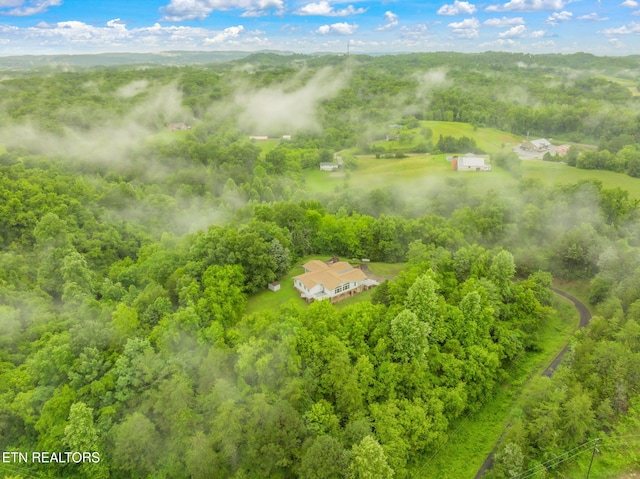 363 Staghorn Ln, Seymour, TN 37865 - aerial view of sparsely populated area featuring a heavily wooded area