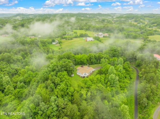 363 Staghorn Ln, Seymour, TN 37865 - bird's eye view of a forest