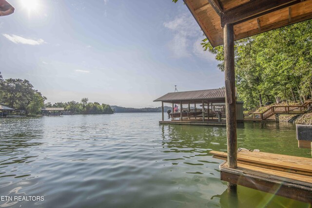 241 Goose Point Dr, Spring City, TN 37381 - photo 27