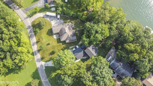 241 Goose Point Dr, Spring City, TN 37381 - photo 29