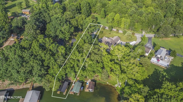 241 Goose Point Dr, Spring City, TN 37381 - photo 33