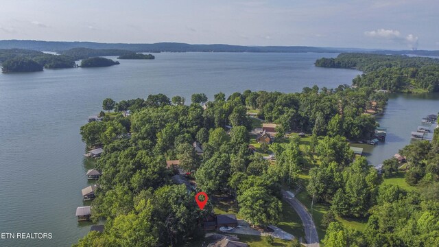 241 Goose Point Dr, Spring City, TN 37381 - photo 34
