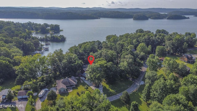 241 Goose Point Dr, Spring City, TN 37381 - photo 36
