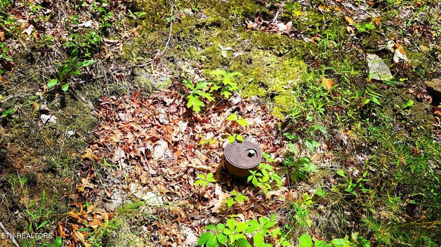 6 Swan Saddle Rd Lot3 5, Sevierville, TN 37876