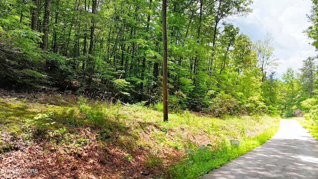 6 Swan Saddle Rd Lot3 5, Sevierville, TN 37876