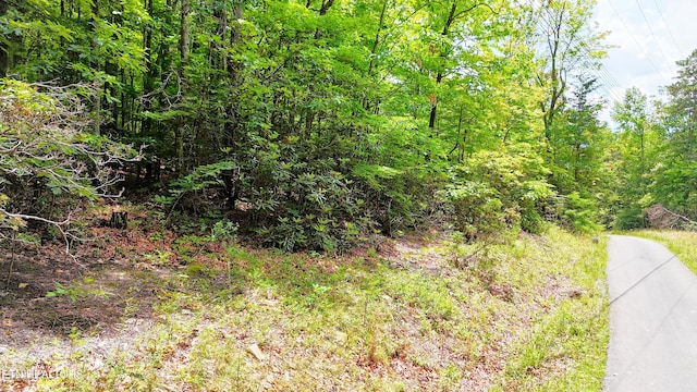 6 Swan Saddle Rd Lot3 5, Sevierville, TN 37876
