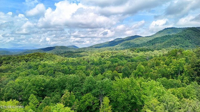 6 Swan Saddle Rd Lot3 5, Sevierville, TN 37876