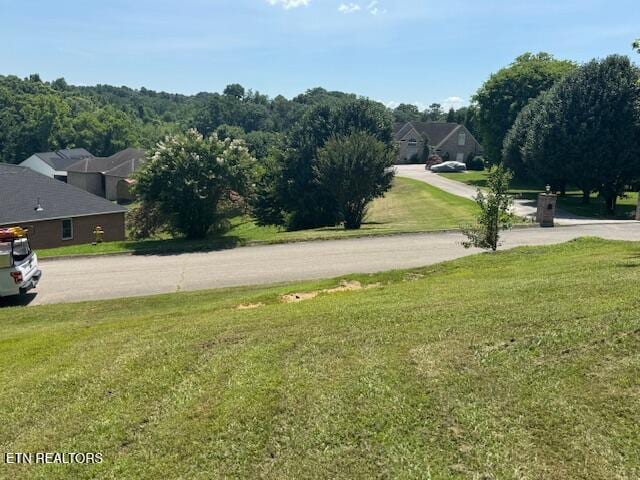5034 Reliant Ln, Knoxville, TN 37914 - photo 4
