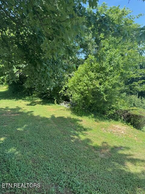 5034 Reliant Ln, Knoxville, TN 37914 - photo 6