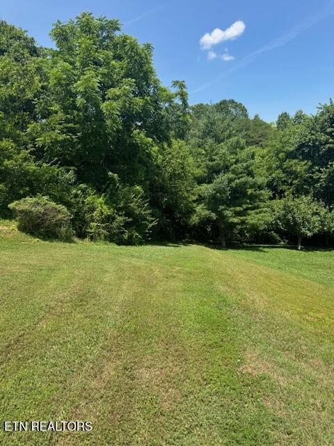5034 Reliant Ln, Knoxville, TN 37914 - photo 8