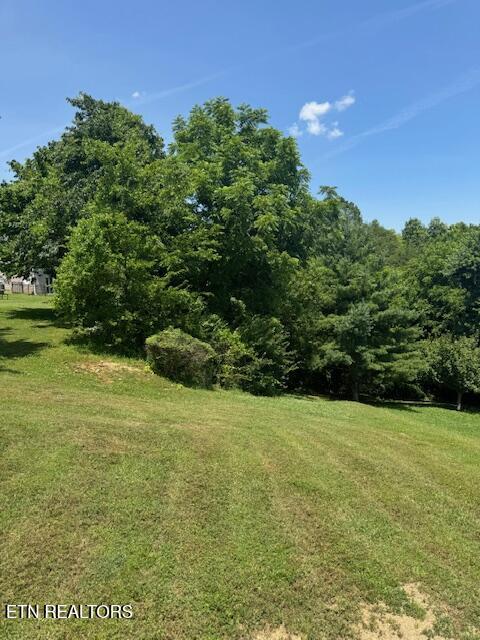 5034 Reliant Ln, Knoxville, TN 37914 - photo 9
