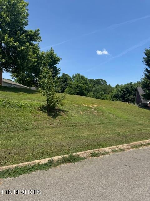 5034 Reliant Ln, Knoxville, TN 37914 - photo 2