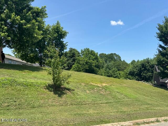 5034 Reliant Ln, Knoxville, TN 37914 - photo 3