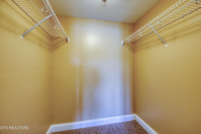 3001 River Towne Way Unit 202, Knoxville, TN 37920 - photo 12