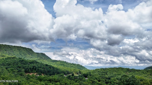 L152021 Linwood Ct, Sevierville, TN 37876