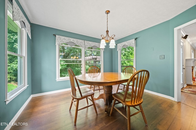 1223 Hearthstone Ln, Knoxville, TN 37923 - photo 6