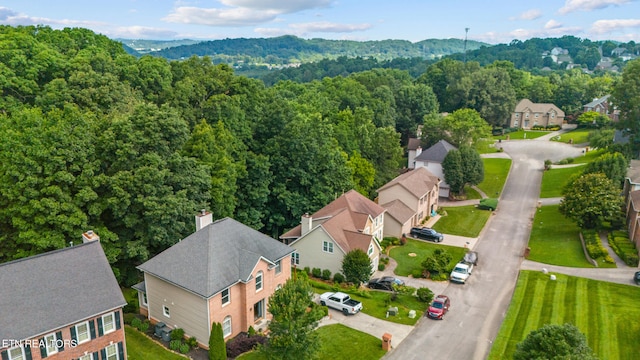 1223 Hearthstone Ln, Knoxville, TN 37923 - photo 23