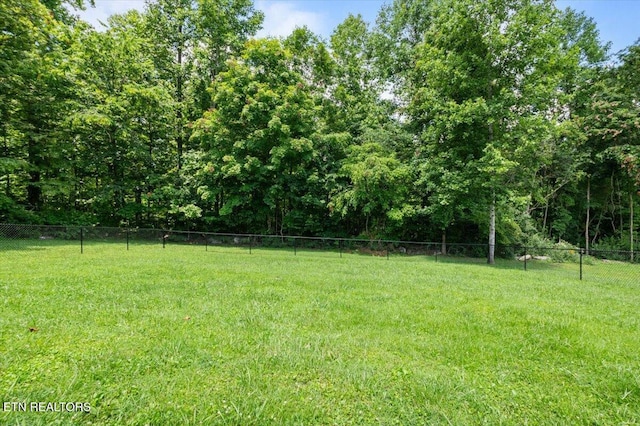 171 Forest Cove Ct, Jacksboro, TN 37757 - view of yard