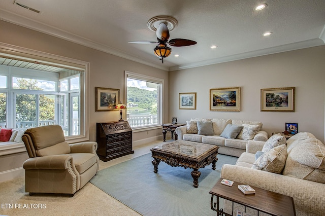 470 Reginas Pt, Sharps Chapel, TN 37866 - photo 9
