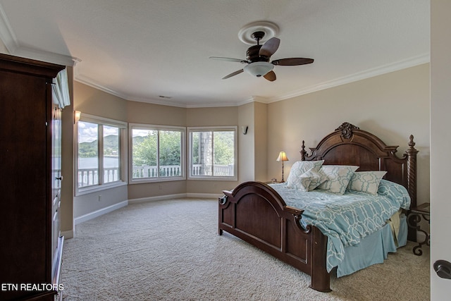 470 Reginas Pt, Sharps Chapel, TN 37866 - photo 48