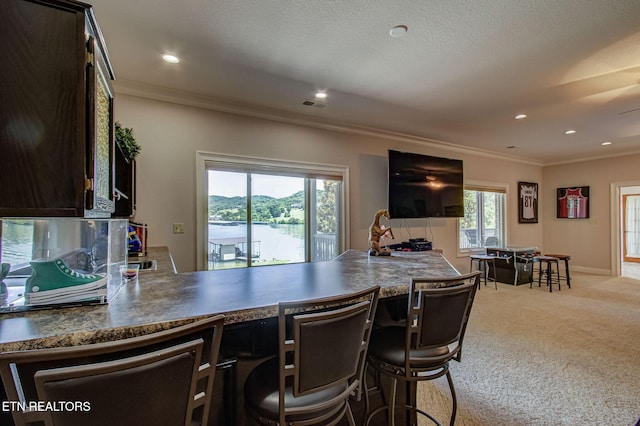 470 Reginas Pt, Sharps Chapel, TN 37866 - photo 44